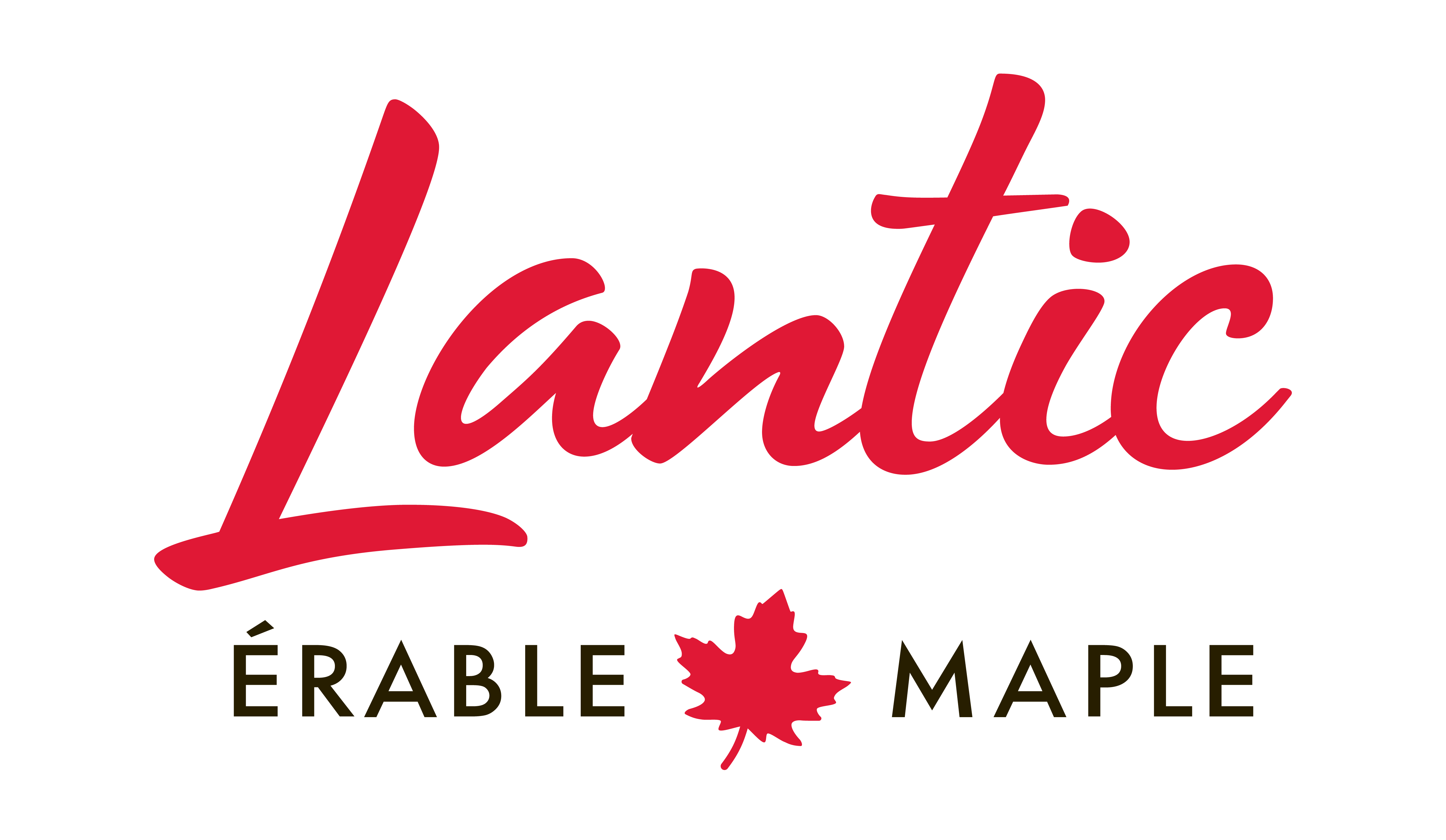 Lantic Maple color red